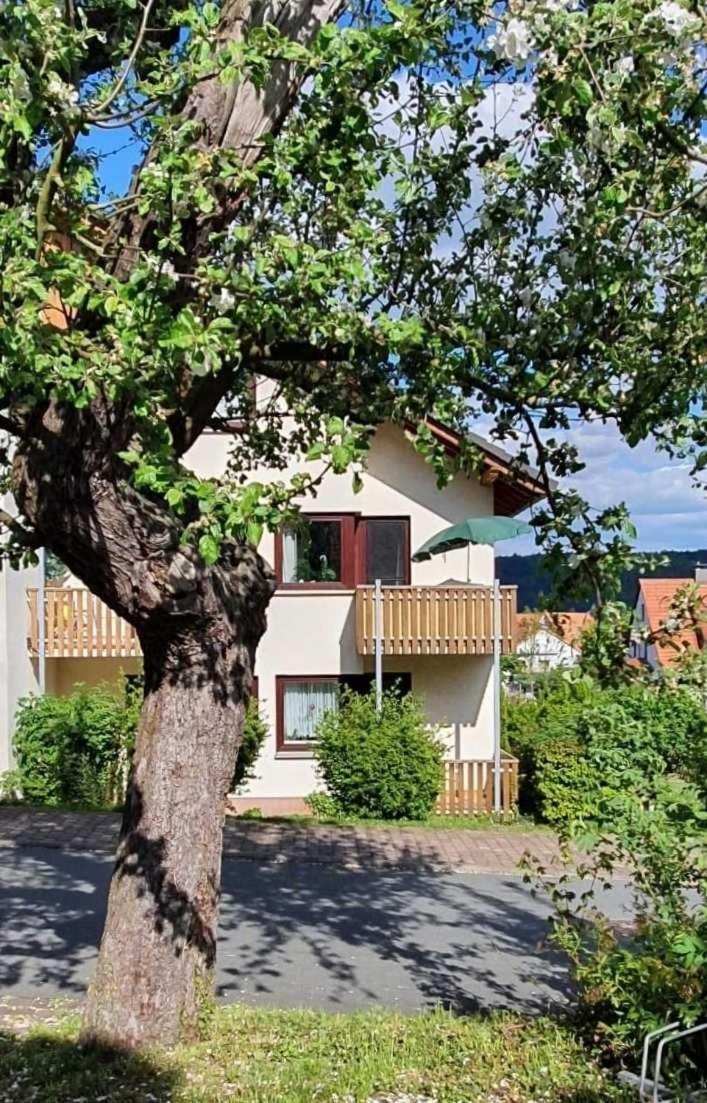 Kleinod Am Kurpark Bad Zwesten