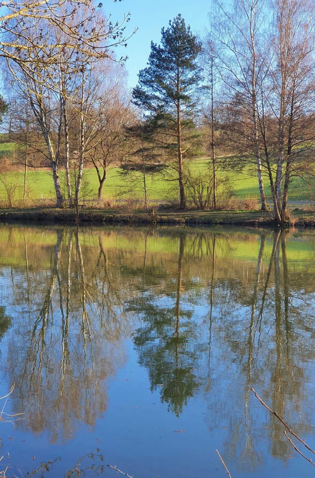 Kleinod Am Kurpark Apartment *